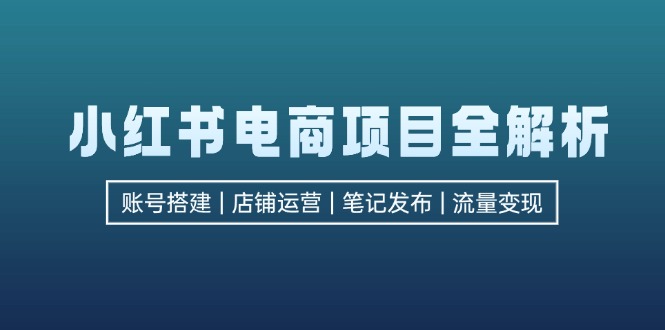 小红书电商项目全解析，包括账号搭建、店铺运营、笔记发布  实现流量变现-有道资源网