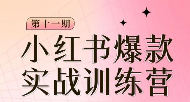 小红书博主爆款训练营第11期，手把手教你从0-1做小红书，从定位到起号到变现-有道资源网