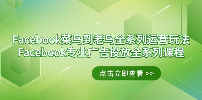 Facebook-菜鸟到老鸟全系列运营玩法+Facebook-专业广告投放全系列课程-有道资源网