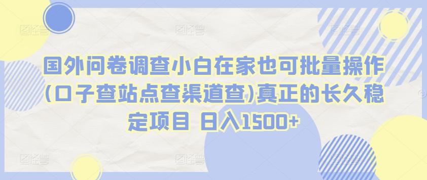 国外问卷调查小白在家也可批量操作(口子查站点查渠道查)真正的长久稳定项目 日入1500+【揭秘】-有道资源网