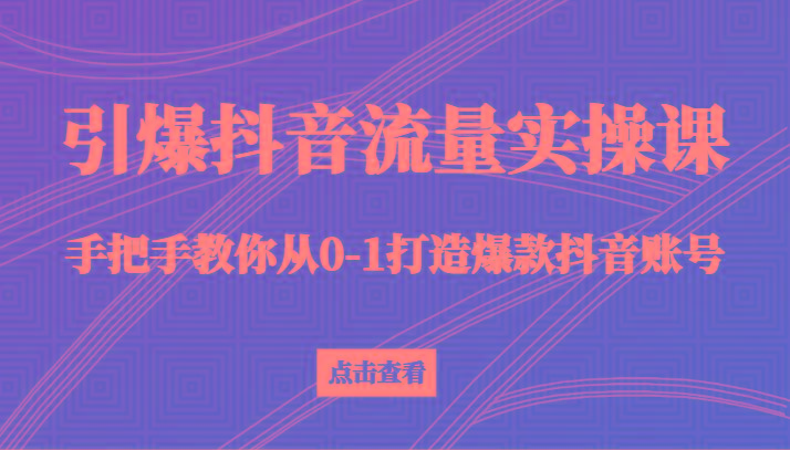 引爆抖音流量实操课，手把手教你从0-1打造爆款抖音账号(27节课)-有道资源网