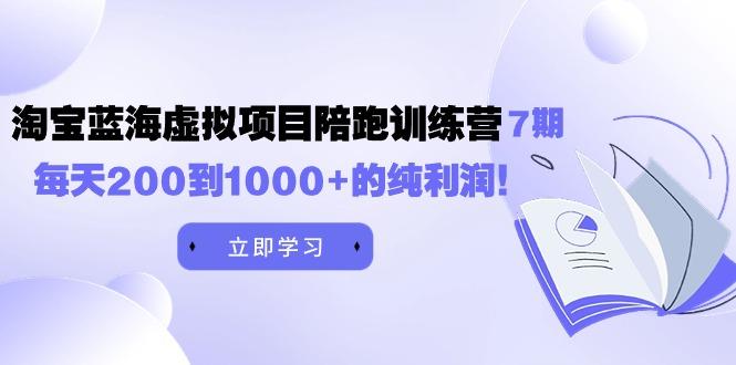 (9541期)黄岛主《淘宝蓝海虚拟项目陪跑训练营7期》每天200到1000+的纯利润-有道资源网