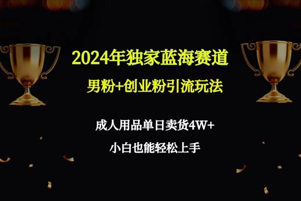 2024年独家蓝海赛道男粉+创业粉引流玩法，成人用品单日卖货4W+保姆教程-有道资源网