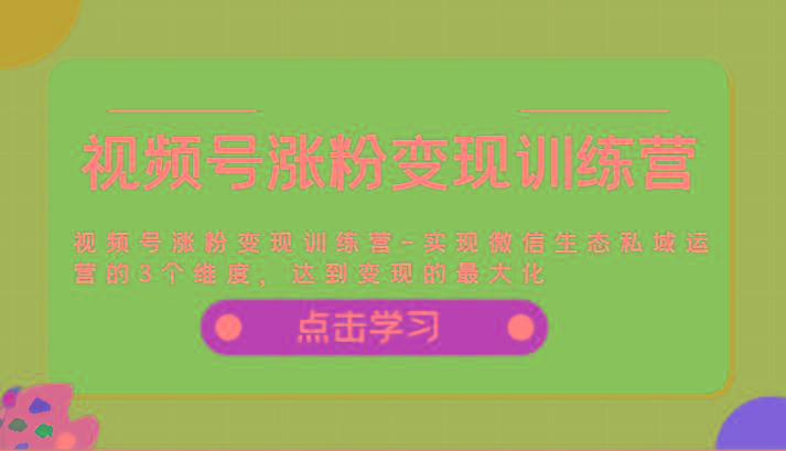 视频号涨粉变现训练营-实现微信生态私域运营的3个维度，达到变现的最大化-有道资源网