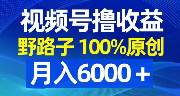 视频号野路子撸收益，100%原创，条条爆款，月入6000＋【揭秘】-有道资源网