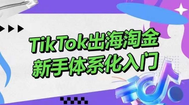 TikTok出海淘金，新手体系化入门，零基础快速入门，掌握短视频、直播带货等引流到变现的知识-有道资源网