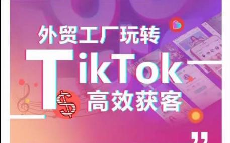 外贸工厂玩转TikTok高效获客，多种引流方式与账号定位技巧，拆解爆款短视频打造成功案例-有道资源网