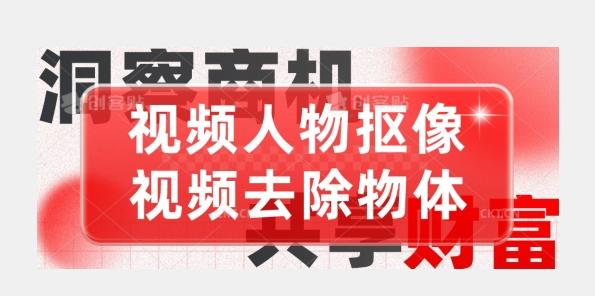 【超强视频处理工具】视频人物抠像+视频去除物体-有道资源网