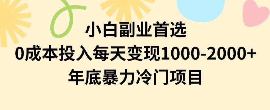 小白副业首选，0成本投入，每天变现1000-2000年底暴力冷门项目【揭秘】-有道资源网