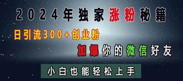 2024年独家涨粉秘籍，日引流300+创业粉，加爆你的微信好友，小白也能轻松上手-有道资源网