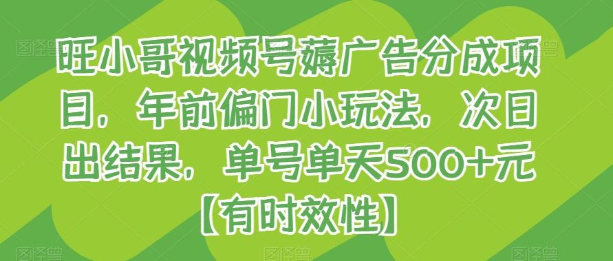 旺小哥视频号薅广告分成项目，年前偏门小玩法，次日出结果，单号单天500+元【有时效性】-有道资源网