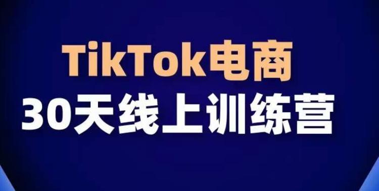 TikTok电商带货30天线上课，不可错过的全球流量洼地！-有道资源网