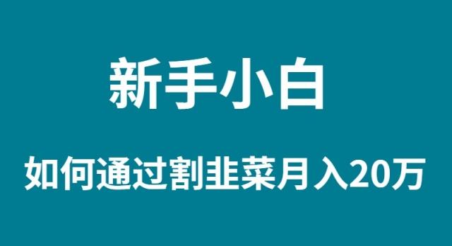 (9308期)新手小白如何通过割韭菜月入 20W-有道资源网