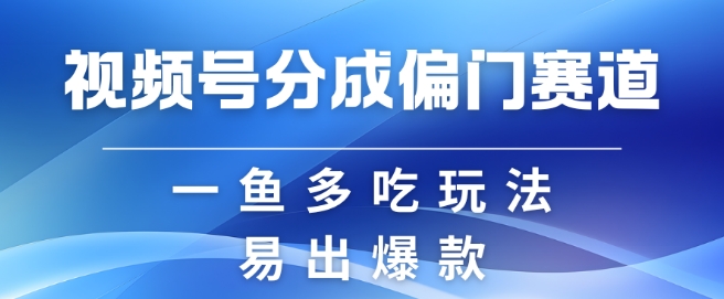 视频号创作者分成计划偏门类目，容易爆流，实拍内容简单易做【揭秘】-有道资源网