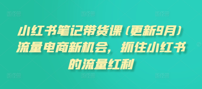 小红书笔记带货课(更新9月)流量电商新机会，抓住小红书的流量红利-有道资源网