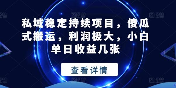 私域稳定持续项目，傻瓜式搬运，利润极大，小白单日收益几张【揭秘】-有道资源网