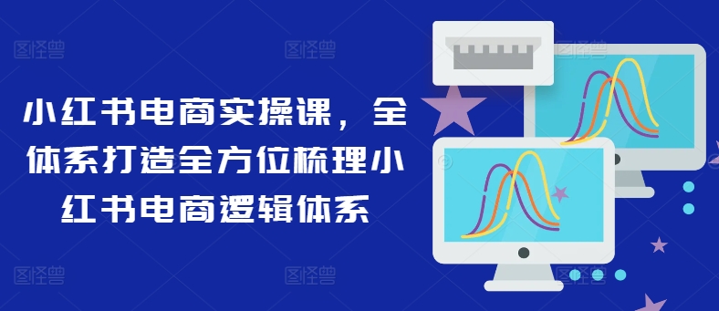 小红书电商实操课，全体系打造全方位梳理小红书电商逻辑体系-有道资源网