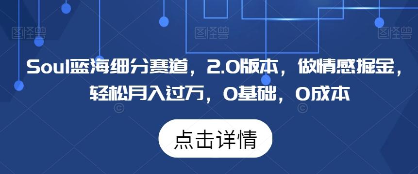 Soul蓝海细分赛道，2.0版本，做情感掘金，轻松月入过万，0基础，0成本-有道资源网