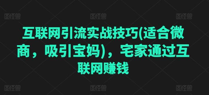 互联网引流实战技巧(适合微商，吸引宝妈)，宅家通过互联网赚钱-有道资源网