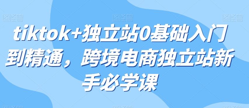 tiktok+独立站0基础入门到精通，跨境电商独立站新手必学课-有道资源网