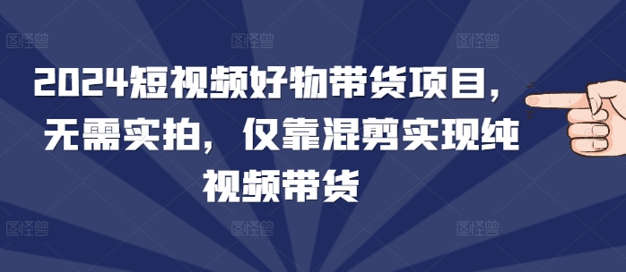 2024短视频好物带货项目，无需实拍，仅靠混剪实现纯视频带货-有道资源网