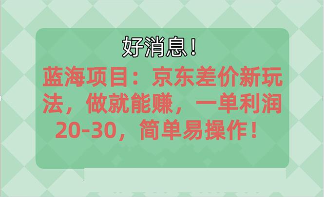 越早知道越能赚到钱的蓝海项目：京东大平台操作，一单利润20-30，简单…-有道资源网