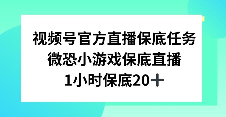 视频号直播任务，微恐小游戏，1小时20+【揭秘】-有道资源网