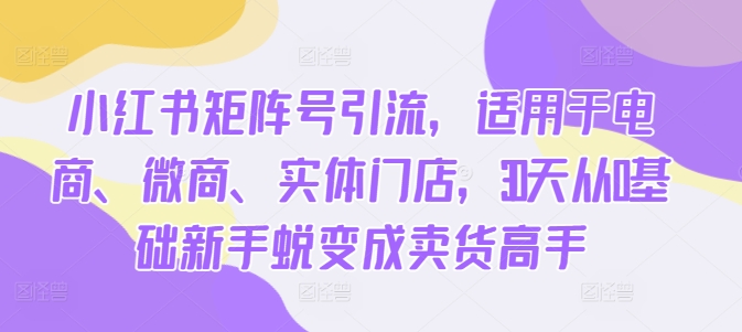 小红书矩阵号引流，适用于电商、微商、实体门店，30天从0基础新手蜕变成卖货高手-有道资源网