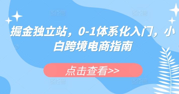 掘金独立站，0-1体系化入门，小白跨境电商指南-有道资源网