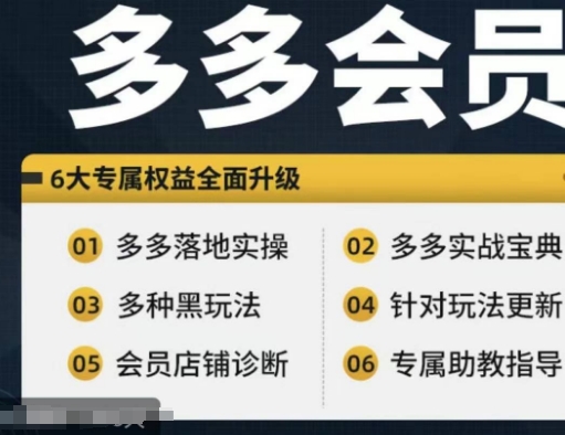 拼多多会员，拼多多实战宝典+实战落地实操，从新手到高阶内容全面覆盖-有道资源网