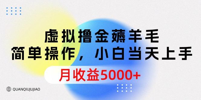 (9864期)虚拟撸金薅羊毛，简单操作，小白当天上手，月收益5000+-有道资源网