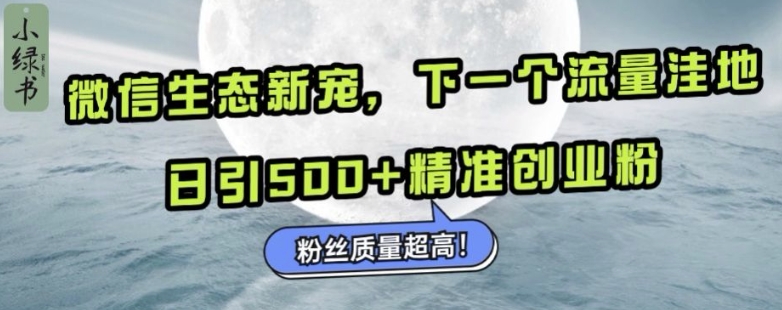 微信生态新宠小绿书：下一个流量洼地，日引500+精准创业粉，粉丝质量超高-有道资源网