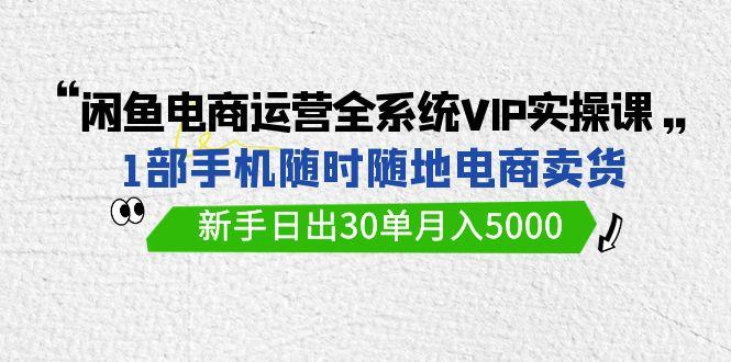 (9547期)闲鱼电商运营全系统VIP实战课，1部手机随时随地卖货，新手日出30单月入5000-有道资源网