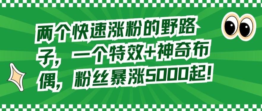 两个快速涨粉的野路子，一个特效+神奇布偶，粉丝暴涨5000起【揭秘】-有道资源网