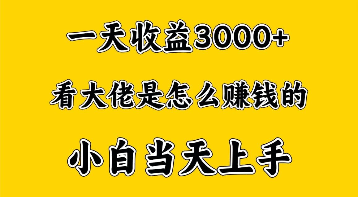 一天赚3000多，大佬是这样赚到钱的，小白当天上手，穷人翻身项目-有道资源网