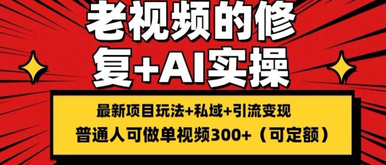 修复老视频的玩法，搬砖+引流的变现(可持久)，单条收益300+【揭秘】-有道资源网