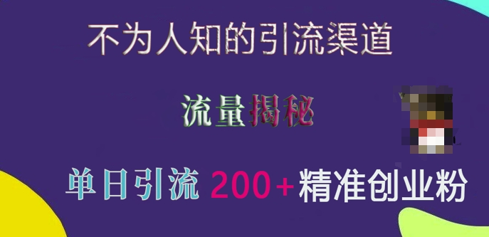 不为人知的引流渠道，流量揭秘，实测单日引流200+精准创业粉【揭秘】-有道资源网