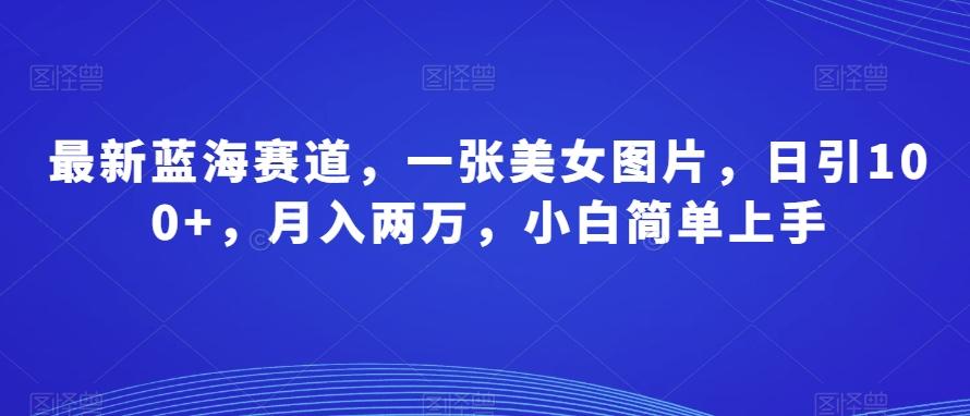 最新蓝海赛道，一张美女图片，日引100+，月入两万，小白简单上手-有道资源网