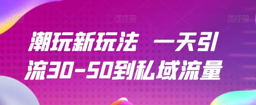 潮玩新玩法一天引流30-50到私域流量-有道资源网