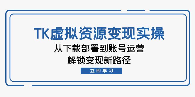 TK虚拟资料变现实操：从下载部署到账号运营，解锁变现新路径-有道资源网