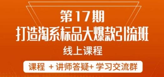 南掌柜-第17期打造淘系标品大爆款，5天线上课-有道资源网