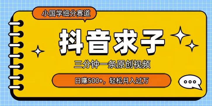 小国学细分赛道，三分钟一条原创视频，日赚500+，可矩阵复制-有道资源网