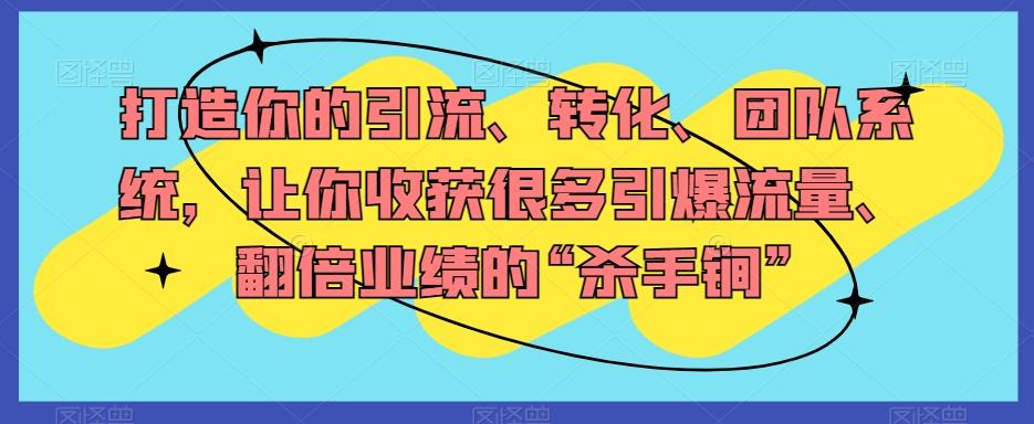 打造你的引流、转化、团队系统，让你收获很多引爆流量、翻倍业绩的“杀手锏”-有道资源网