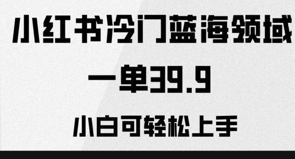 小红书冷门蓝海领域，一单39.9，小白可轻松上手-有道资源网