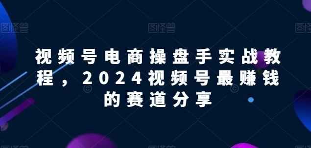 视频号电商实战教程，2024视频号最赚钱的赛道分享-有道资源网