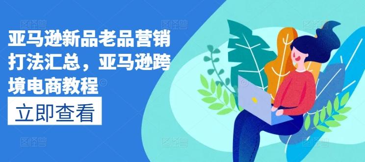 亚马逊新品老品营销打法汇总，亚马逊跨境电商教程-有道资源网