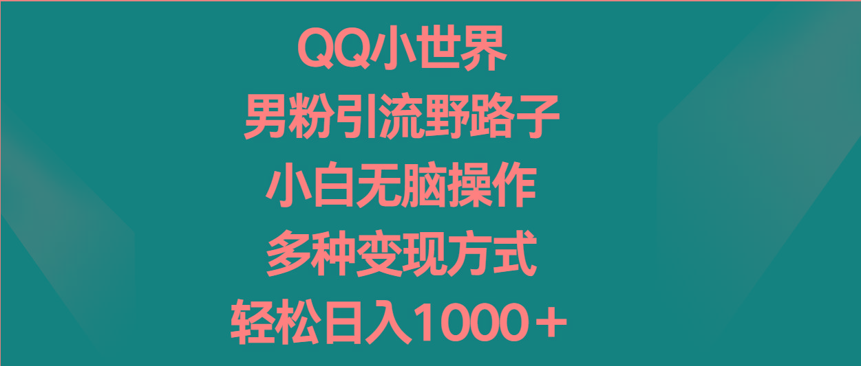 QQ小世界男粉引流野路子，小白无脑操作，多种变现方式轻松日入1000＋-有道资源网