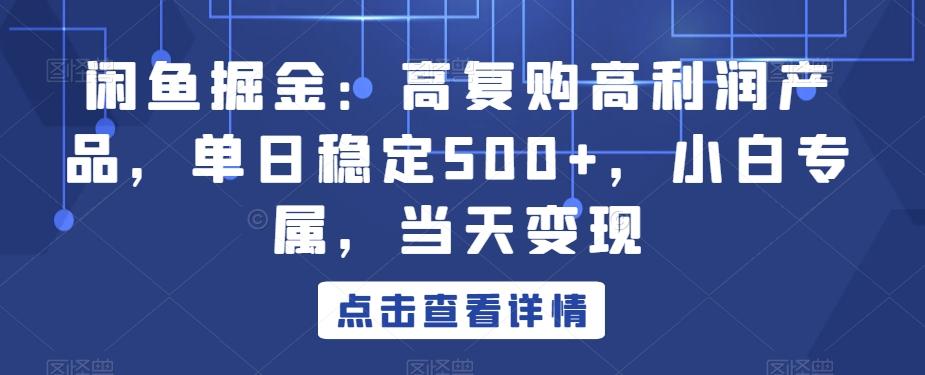 闲鱼掘金：高复购高利润产品，单日稳定500+，小白专属，当天变现-有道资源网