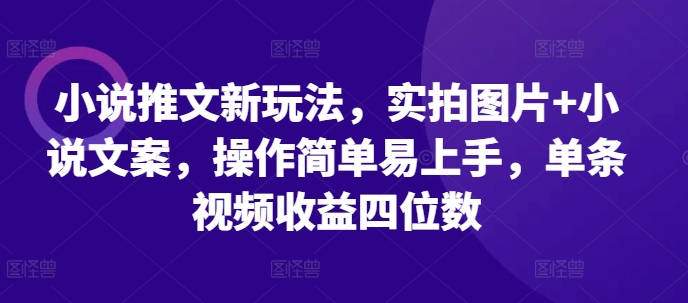 小说推文新玩法，实拍图片+小说文案，操作简单易上手，单条视频收益四位数-有道资源网