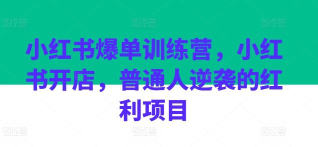 小红书爆单训练营，小红书开店，普通人逆袭的红利项目-有道资源网